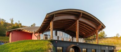 Bodega Talleri: bodega de txakoli en Morga