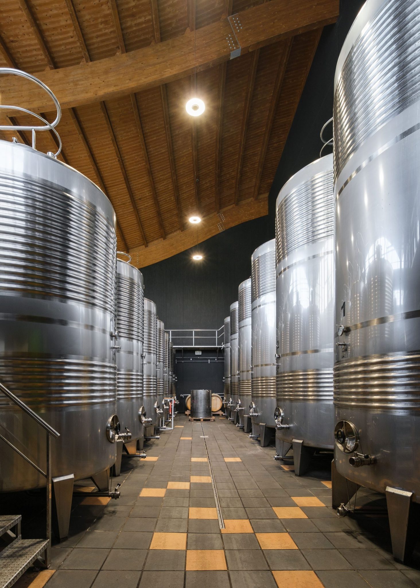 Bodega Talleri: bodega de txakoli en Morga