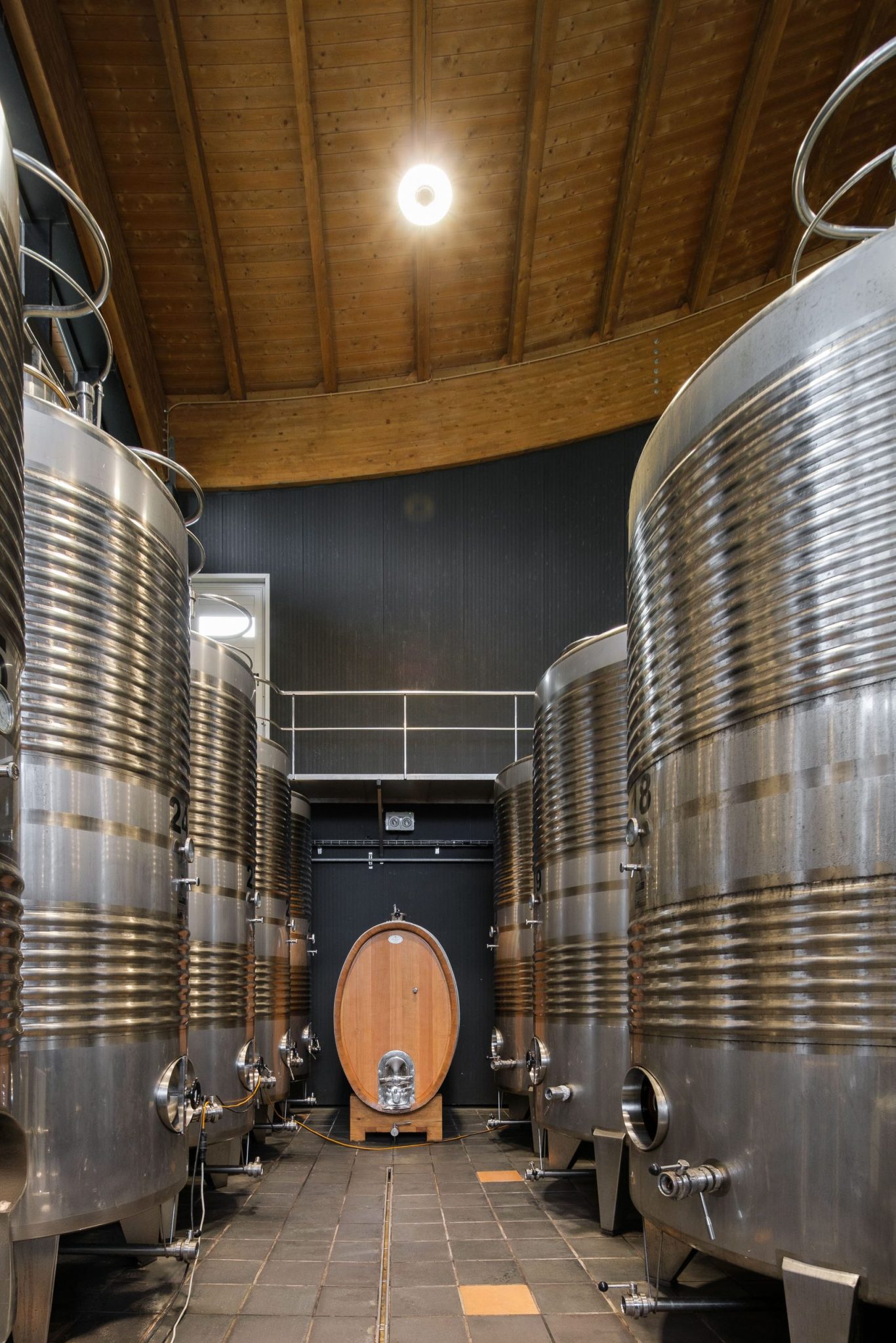 Bodega Talleri: bodega de txakoli en Morga