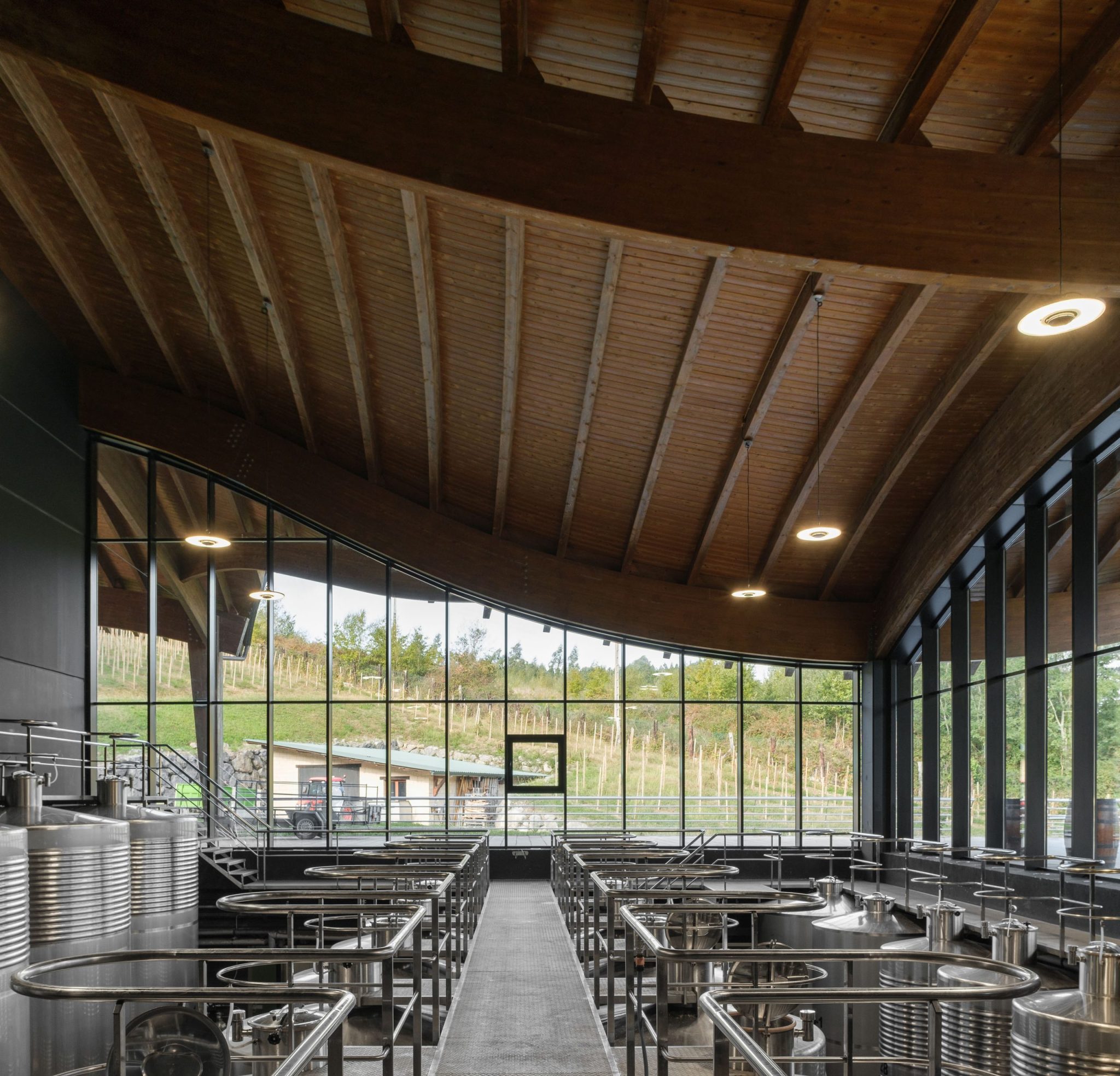 Bodega Talleri: bodega de txakoli en Morga