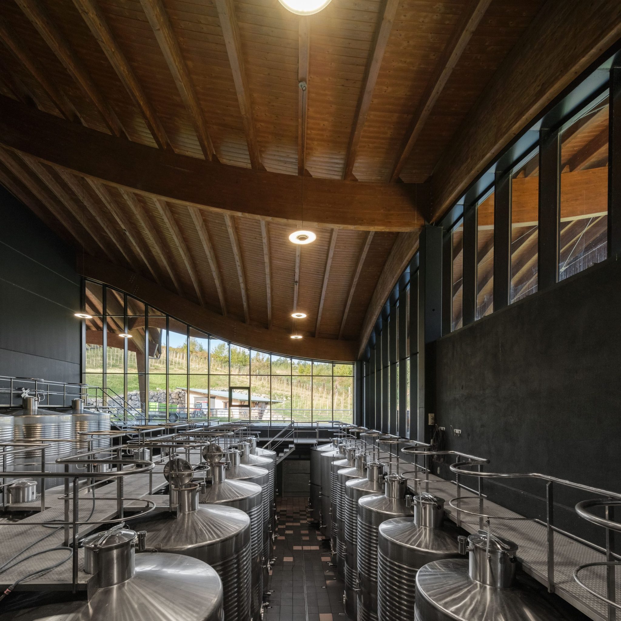 Bodega Talleri: bodega de txakoli en Morga