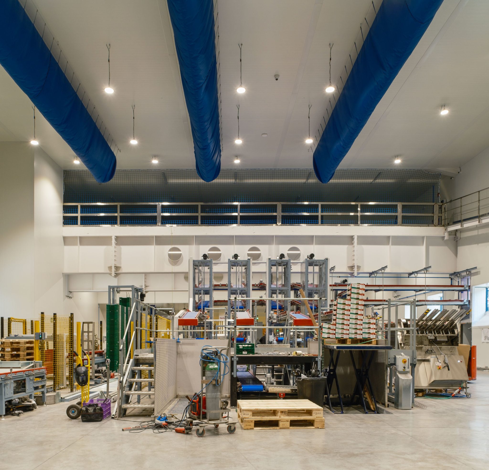 Zona de producción y envasado de la nueva planta de Fribasa